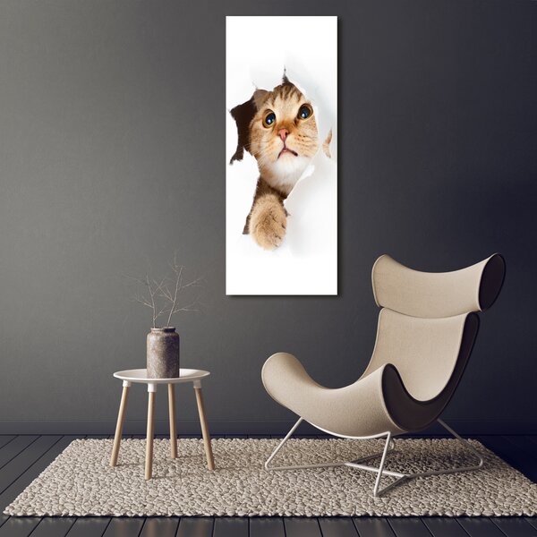 Imprimare tablou canvas Pisică