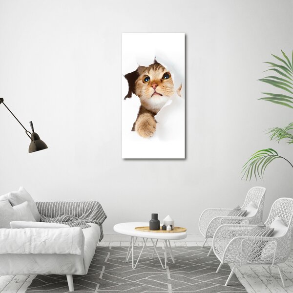Imprimare tablou canvas Pisică