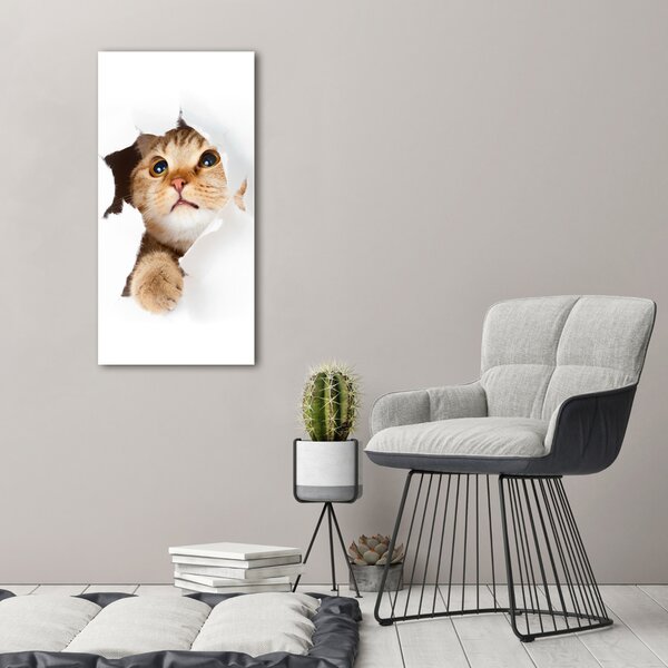 Imprimare tablou canvas Pisică