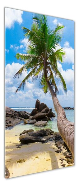 Fotografie imprimată pe sticlă plaja tropicala