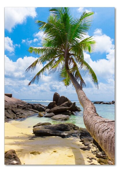 Fotografie imprimată pe sticlă plaja tropicala