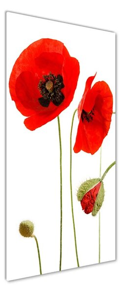 Fotografie imprimată pe sticlă wildflowers maci