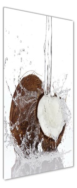 Tablou sticlă nucă de cocos