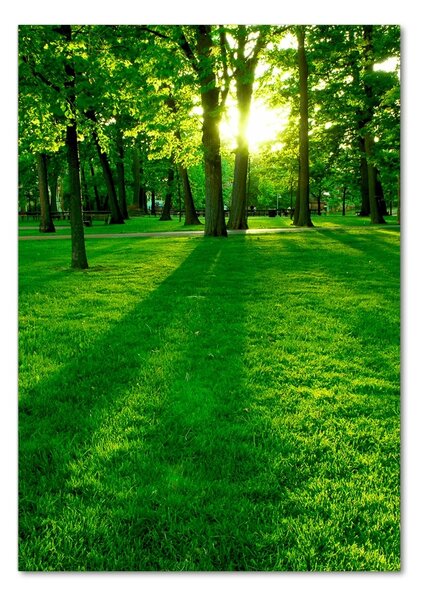 Tablou din Sticlă Soarele în parc