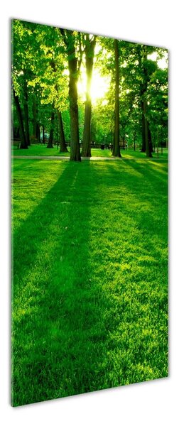 Tablou din Sticlă Soarele în parc
