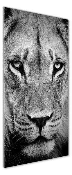 Tablou Printat Pe Sticlă Portret de un leu