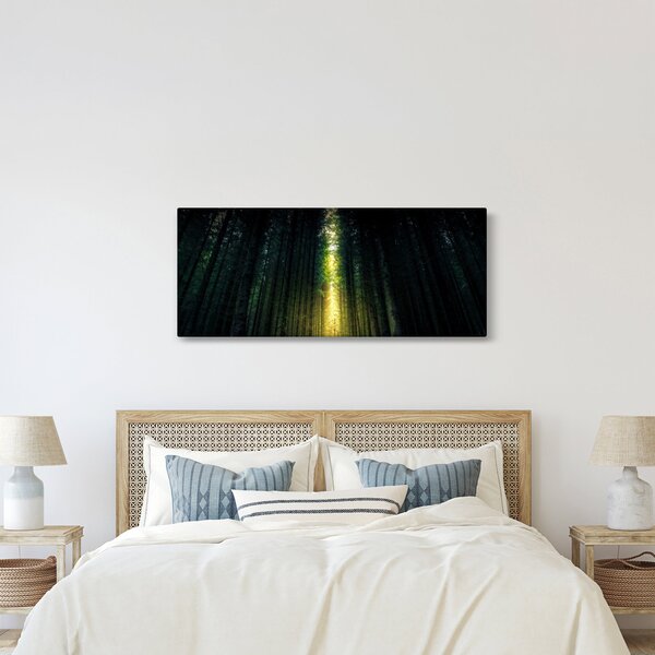 Tablou cu pădurea întunecată (120x50 cm)