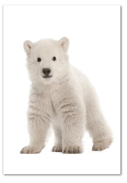 Tablou din Sticlă Un urs polar