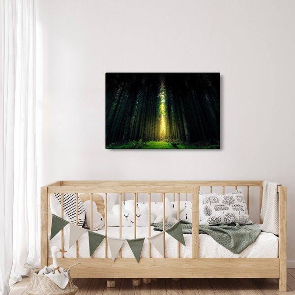 Tablou cu pădurea întunecată (90x60 cm)