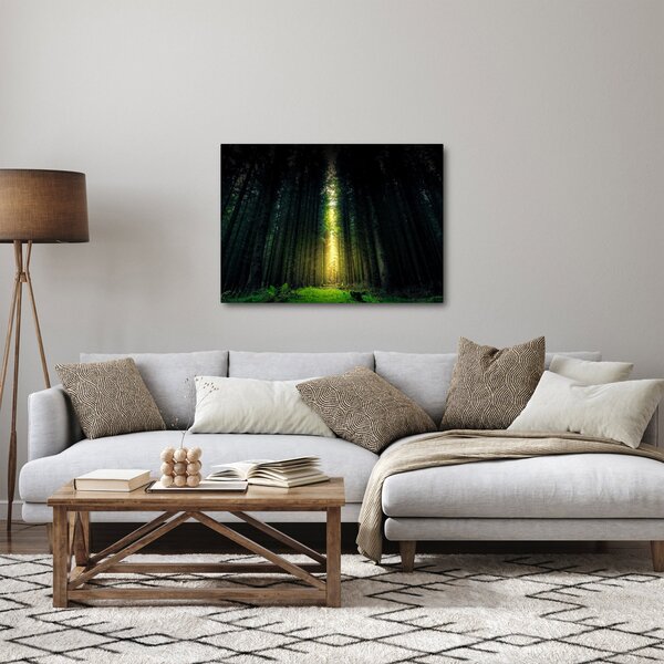 Tablou cu pădurea întunecată (70x50 cm)