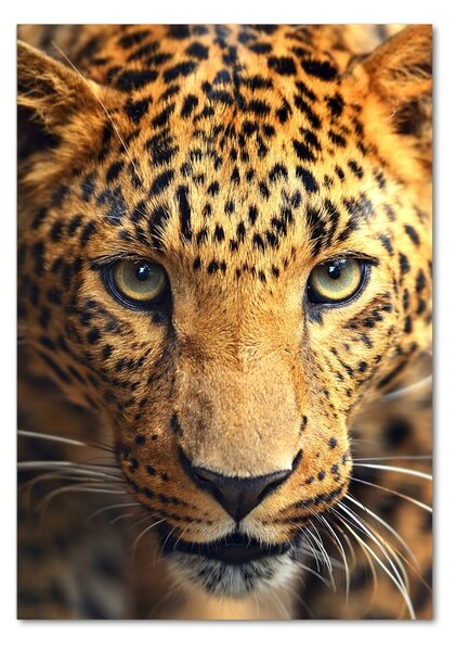 Tablou din Sticlă leopard