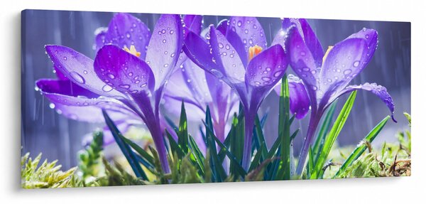Tablou cuflori în ploaie (120x50 cm)