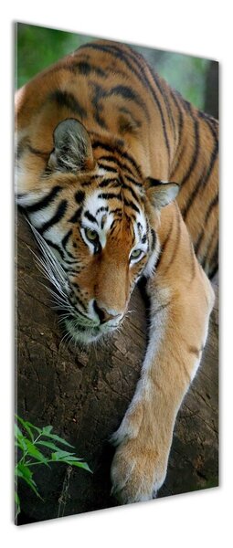 Fotografie imprimată pe sticlă Tiger pe un copac