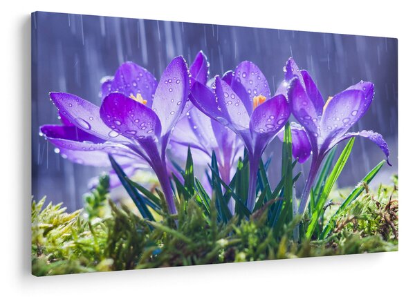 Tablou cuflori în ploaie (90x60 cm)