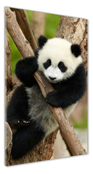 Fotografie imprimată pe sticlă Panda într-un copac