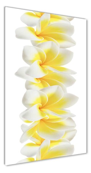 Tablou sticlă plumeria