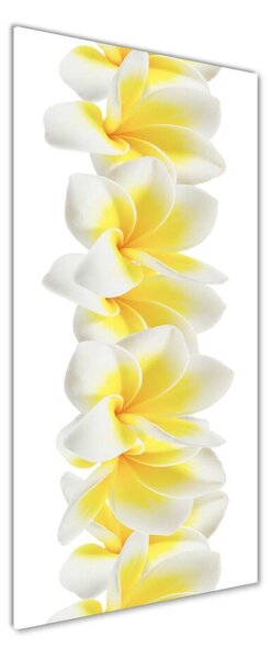 Tablou sticlă plumeria