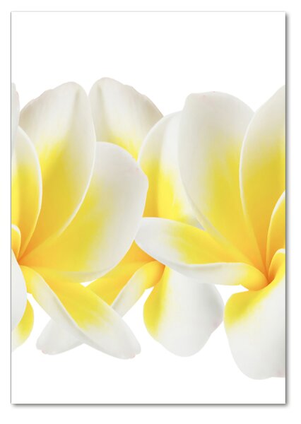 Tablou sticlă plumeria