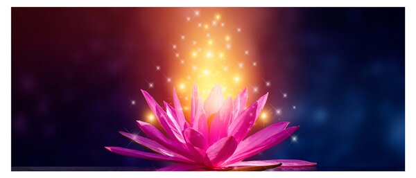 Tablou cu lotus pe apă (120x50 cm)