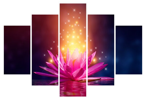 Tablou cu lotus pe apă (150x105 cm)