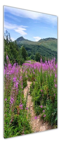 Imagine de sticlă Bieszczady