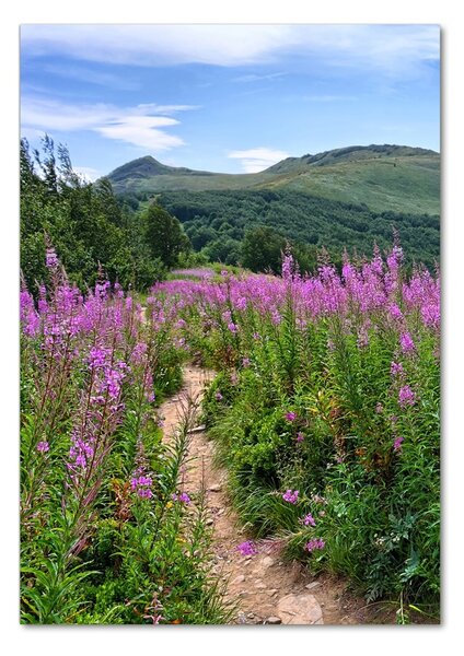 Imagine de sticlă Bieszczady
