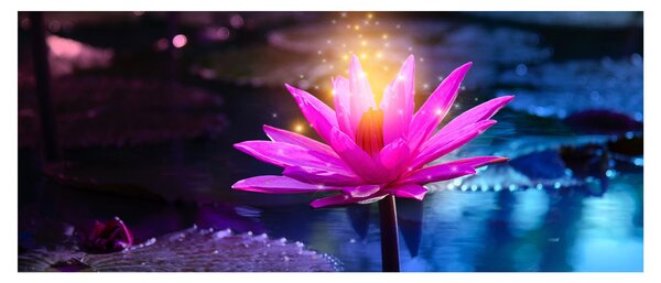 Tablou cu lotus pe apă (120x50 cm)