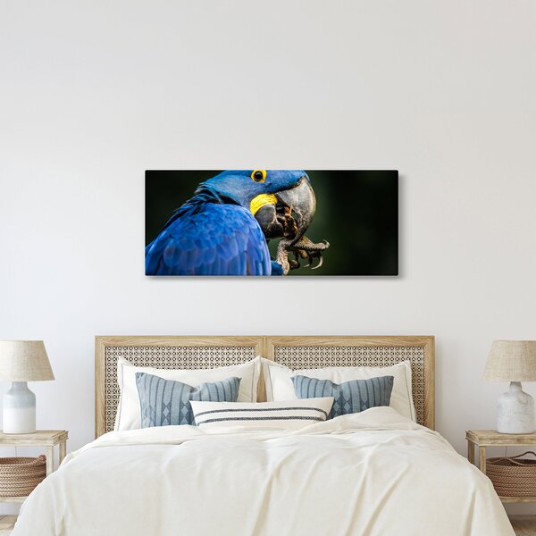 Tablou cu papagal (120x50 cm)