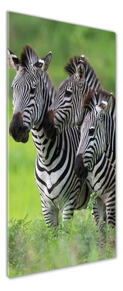 Tablou Printat Pe Sticlă trei zebre