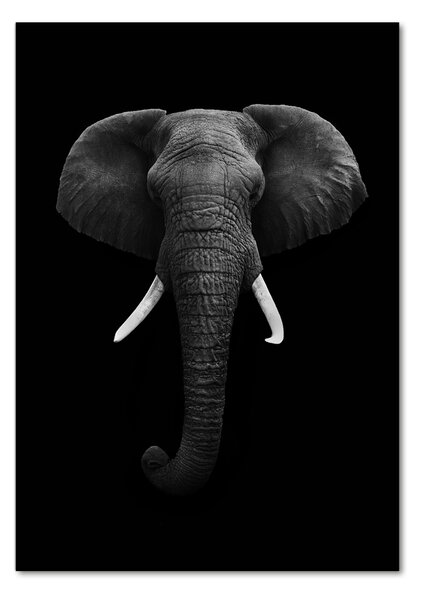 Imagine de sticlă elefant african