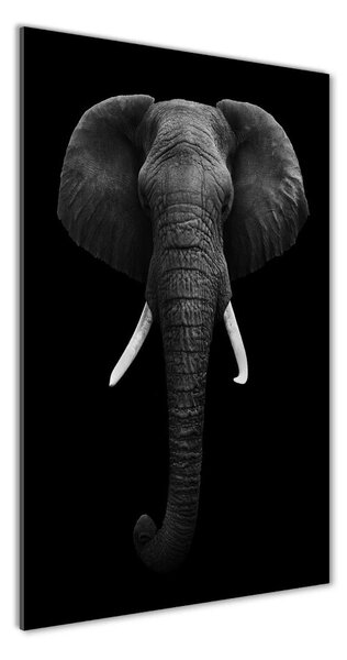Imagine de sticlă elefant african