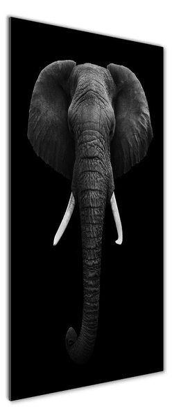 Imagine de sticlă elefant african