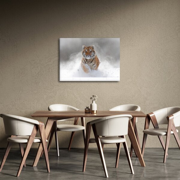 Tablou cutigru fugind prin zăpadă (70x50 cm)