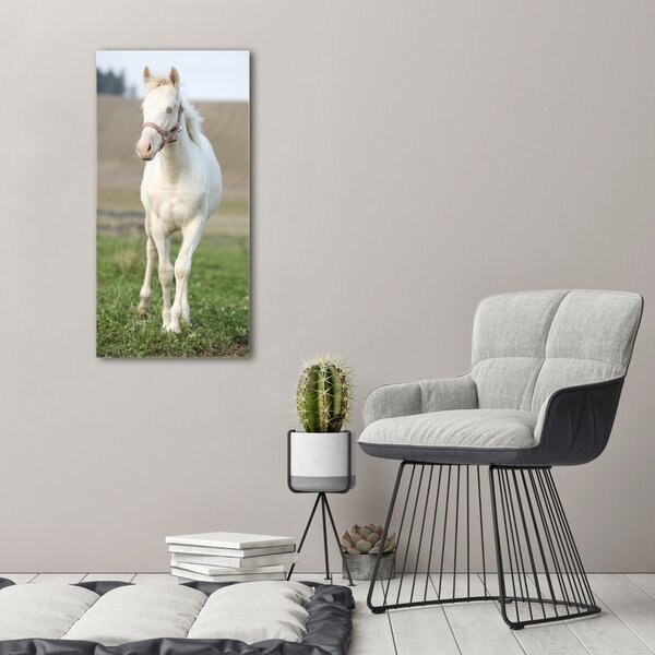 Tablou pe pânză canvas albinos cal