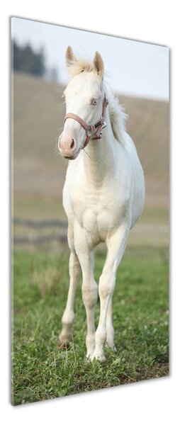 Tablou pe pe sticlă albinos cal
