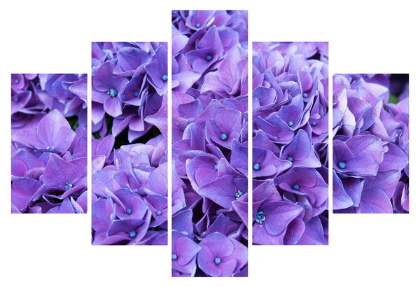 Tablou cu flori violete (150x105 cm)