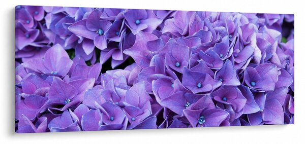 Tablou cu flori violete (120x50 cm)