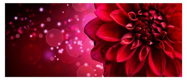Tablou cu floare roșie (120x50 cm)