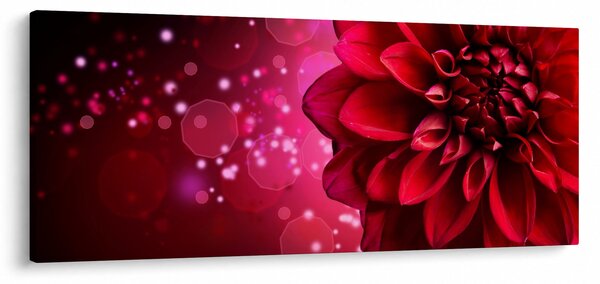 Tablou cu floare roșie (120x50 cm)