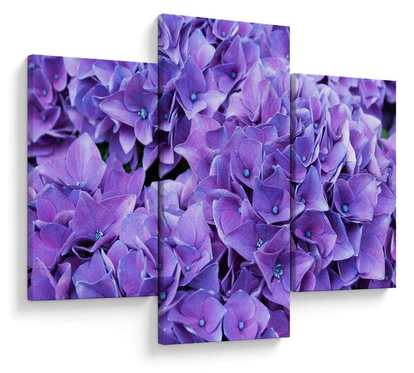 Tablou cu flori violete (90x60 cm)