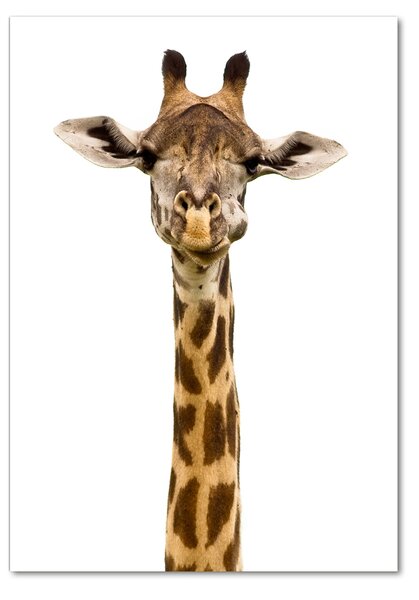 Tablou sticlă Girafă
