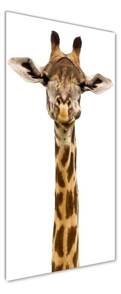 Tablou sticlă Girafă