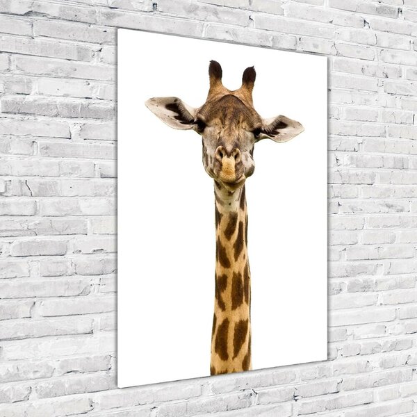 Tablou sticlă Girafă