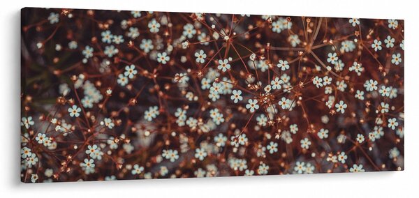 Tablou cu floare de nu mă uita (120x50 cm)