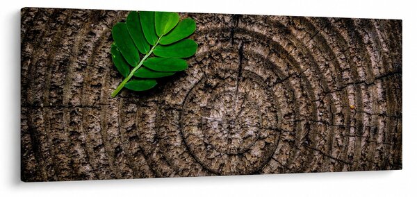 Tablou cu frunză pe trunchi de copac (120x50 cm)