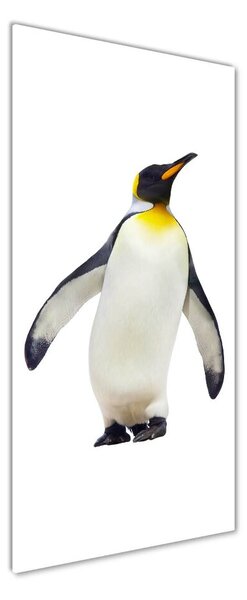 Pictura pe sticlă acrilică Pinguin