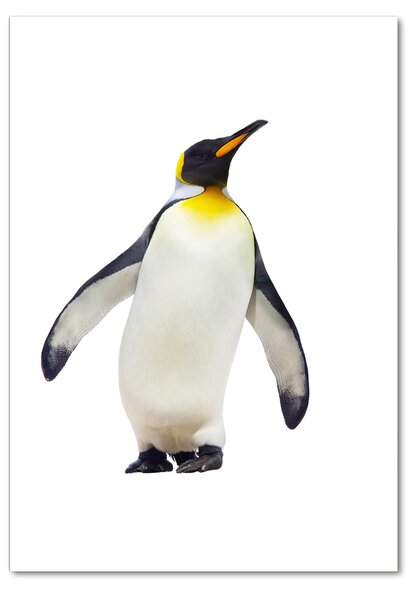 Pictura pe sticlă acrilică Pinguin