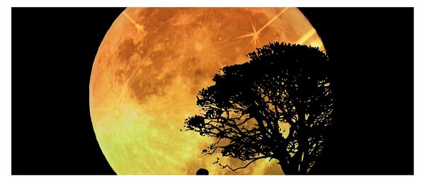 Tablou cu umbre în lumina lunii (120x50 cm)