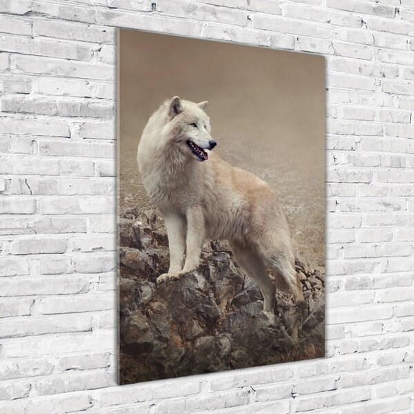 Tablou Printat Pe Sticlă Wolf pe o stâncă