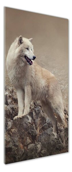 Tablou Printat Pe Sticlă Wolf pe o stâncă